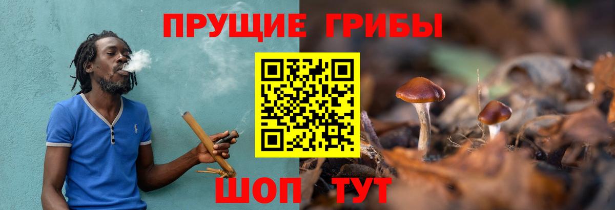 Псилоцибиновые грибы мицелий  продажа наркотиков  Ликино-Дулёво  Вход с VPN 